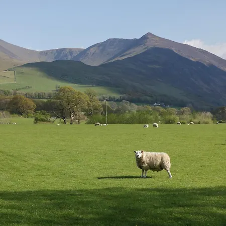 Ferienhaus Elter Luxury Pod