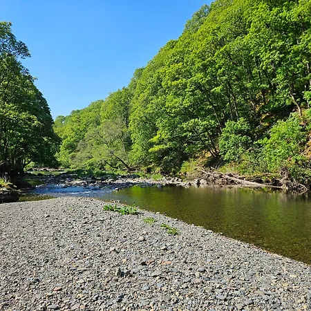 Ferienhaus Elter Luxury Pod *